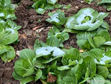 大全椒苹果版苹果ios系统版本大全