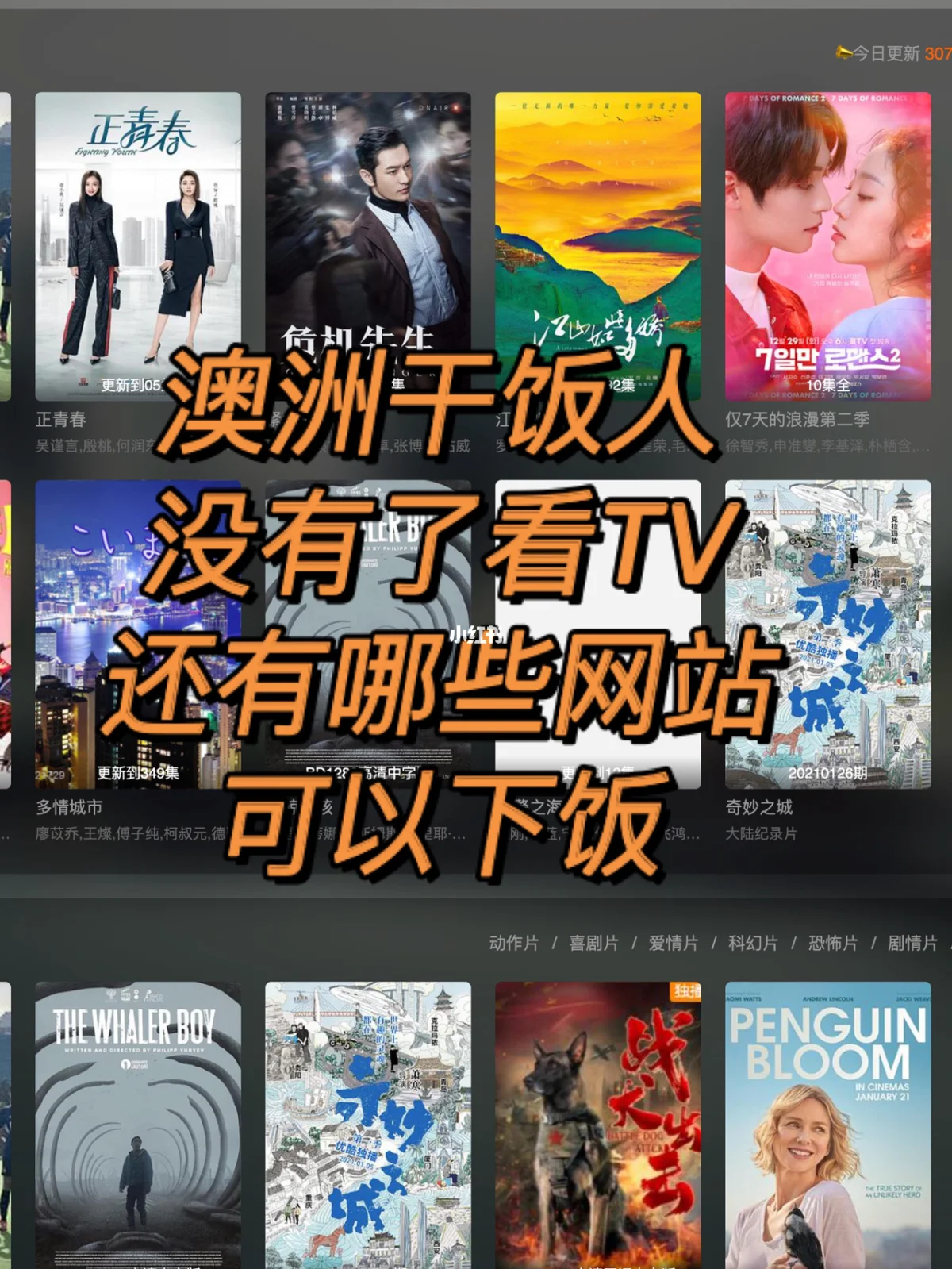 澳洲版苹果tv青苹果影视tv版-第2张图片-太平洋在线下载