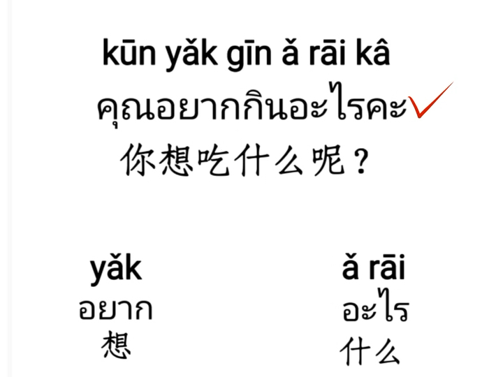 学泰语口语app安卓版泰语自学零基础入门app-第2张图片-太平洋在线下载