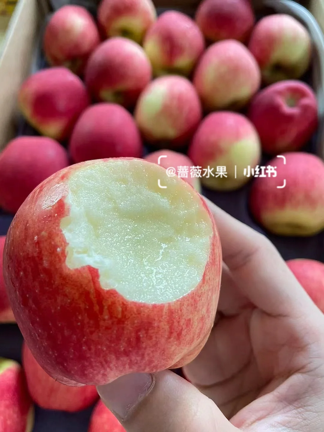 智利版苹果XR的简单介绍-第2张图片-太平洋在线下载