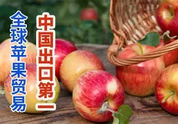 梆梆防盗苹果版4分40秒原版视频